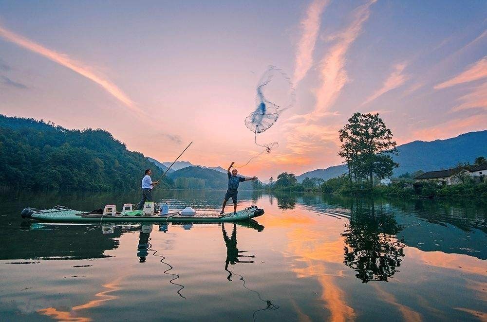 梦幻西游野生宝宝估价